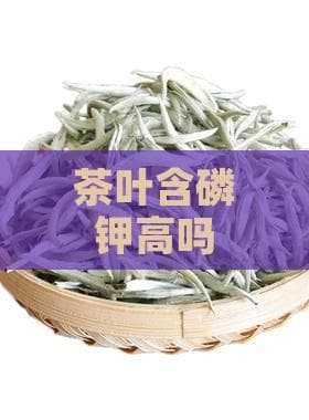 茶叶中的磷和钾含量：对人体健康的影响