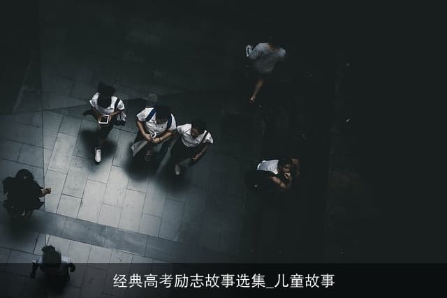 经典高考励志故事选集：逆风飞翔的青春