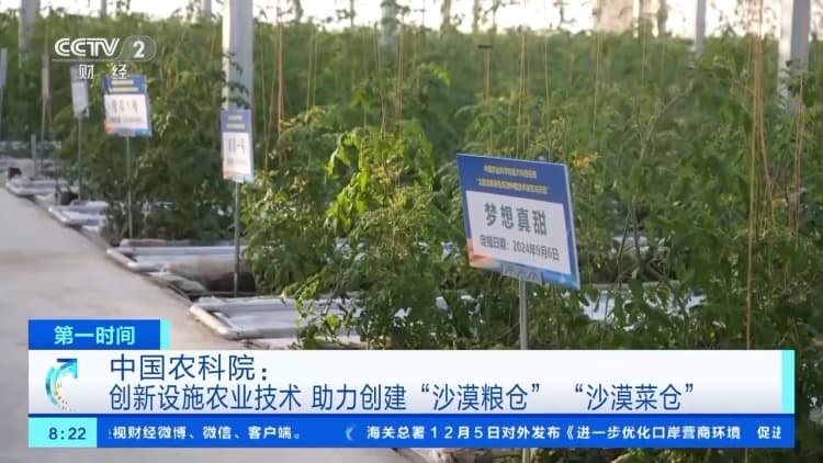 沙漠能建菜仓、粮仓？中国农科院：多项技术不断突破