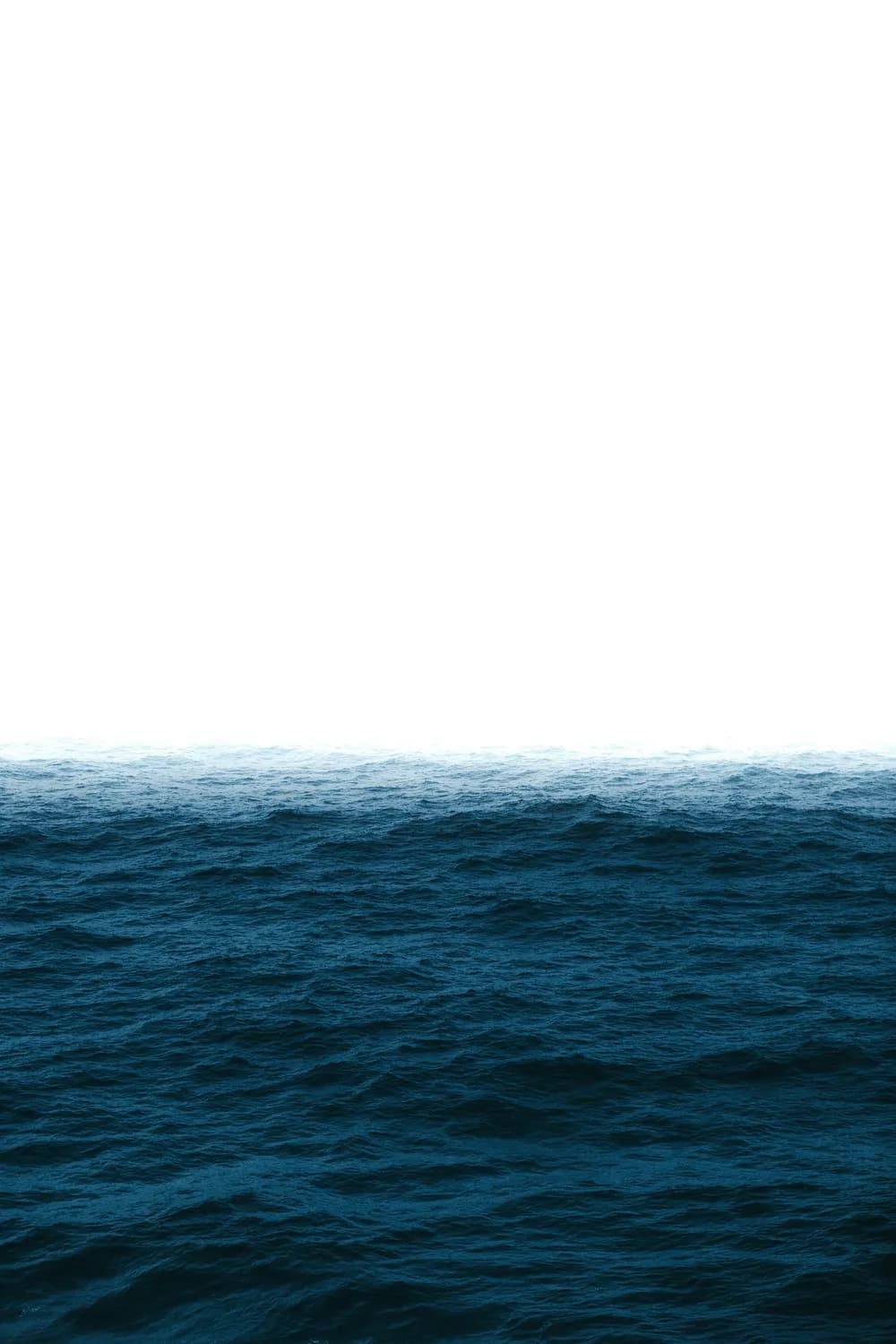 深海生物大揭秘：从阳光带到超深渊带