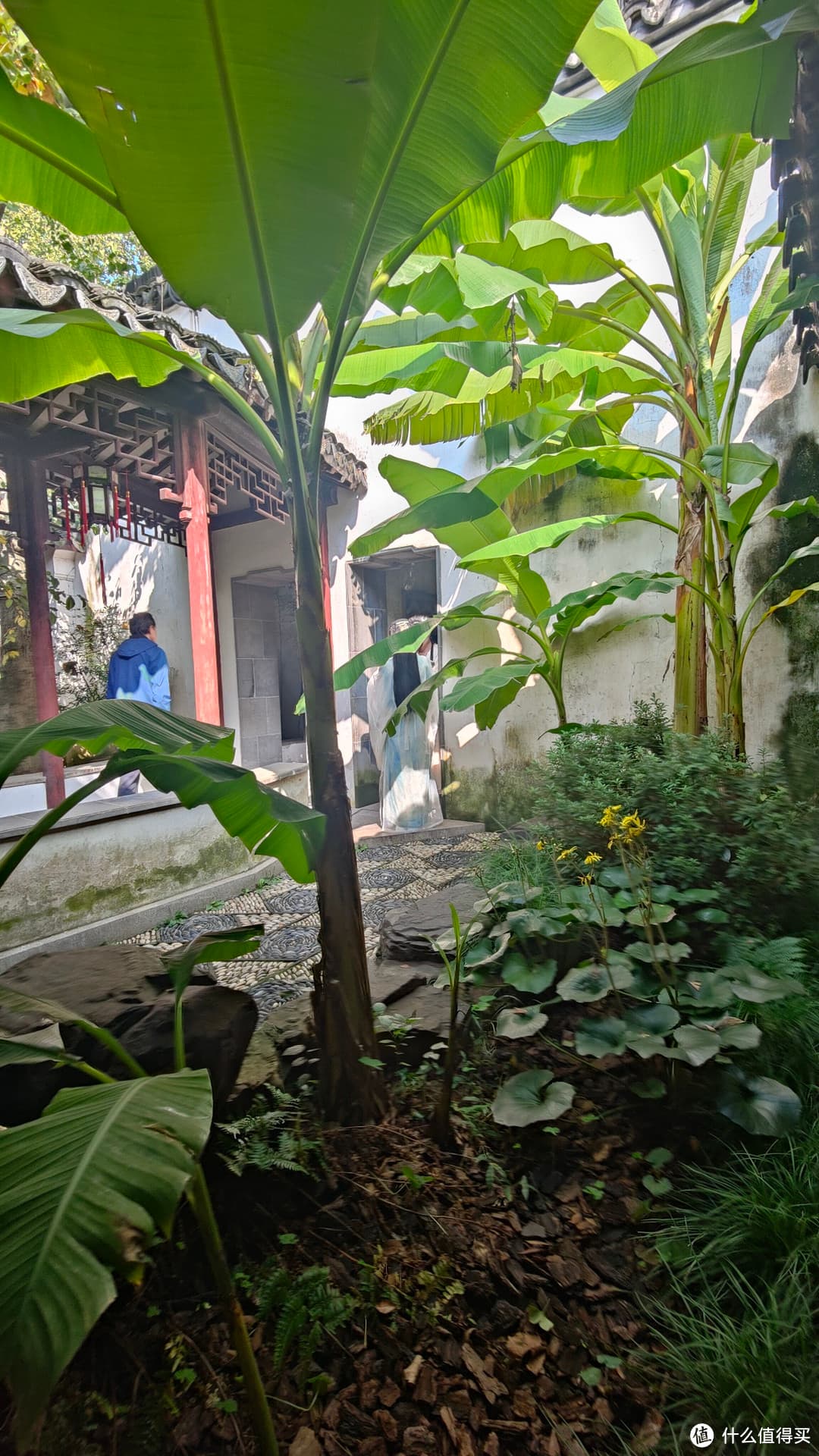 拙政园，江南园林的诗意华章