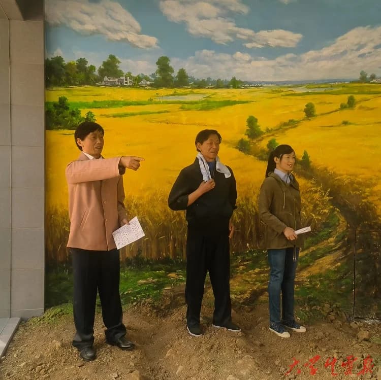 凤阳小岗：乡村振兴的深度探寻