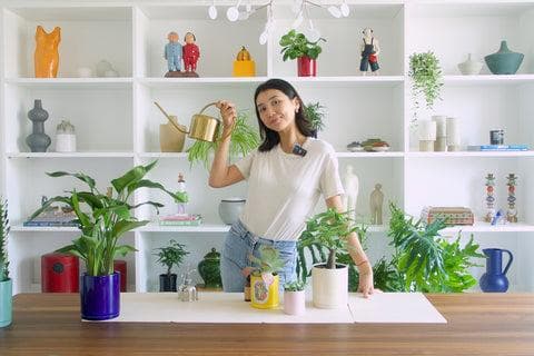 给植物浇水：让植物健康茂盛的完整指南