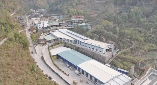 “陈薯”品牌引领周寨村蝶变，小红薯种出3亿大产业