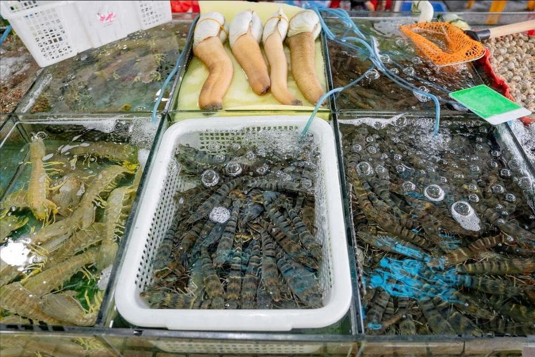 秋天吃鱼，就选这4种，味美，肉鲜，价不贵，关键还是纯野生！