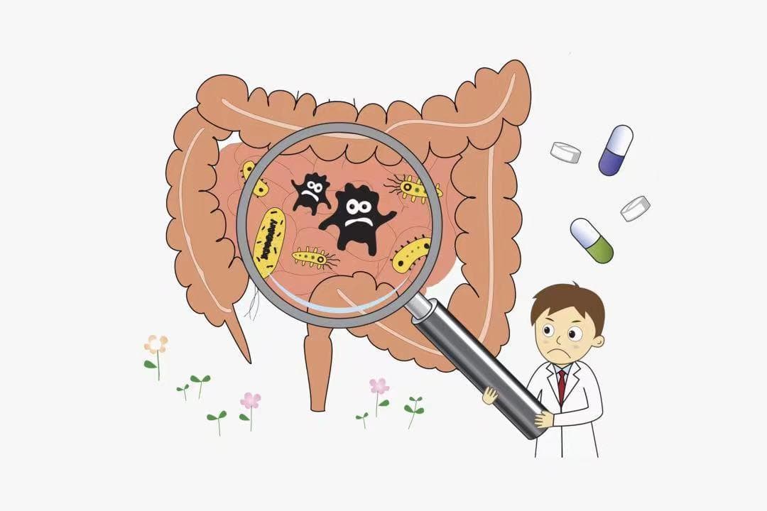 便秘、腹泻、腹胀，肠道太敏感该怎么办？