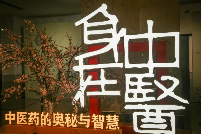 破界与对话：“身在中医——中医药的奥秘与智慧”主题展掀起中医药文化新热潮