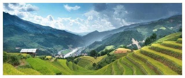 退耕还林尚未完结，多地又推行退林还耕，果树林木全砍掉！是为何