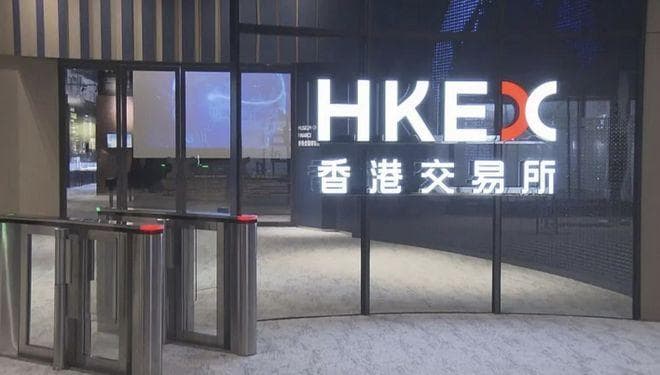 香港公司审计报税指南：关键步骤与常见误区