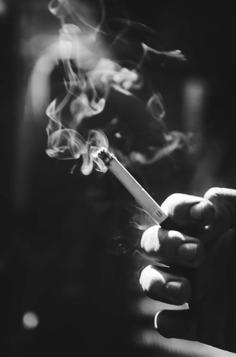 第57届金马奖见证华语电影新人崛起