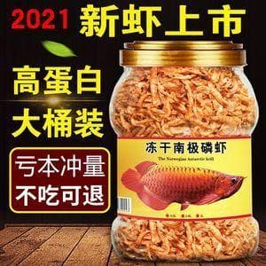金龙鱼只吃活鱼？4个实用技巧让爱宠接受饲料
