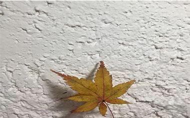 无因管理和不当得利的区别