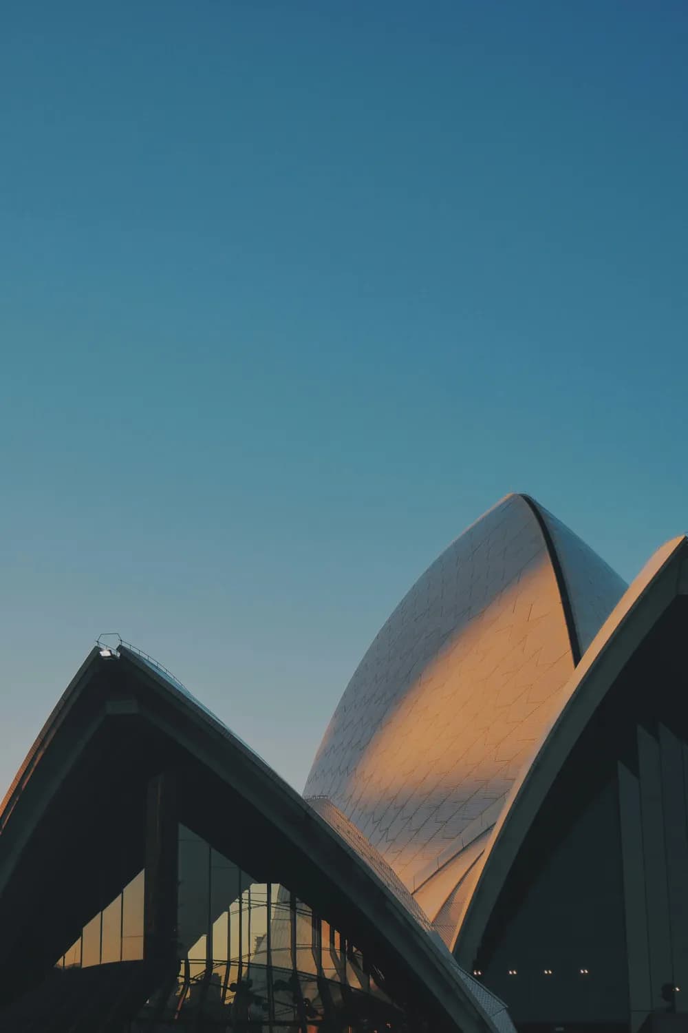 Kiwi Bank账户余额不足怎么办？实用指南来了！
