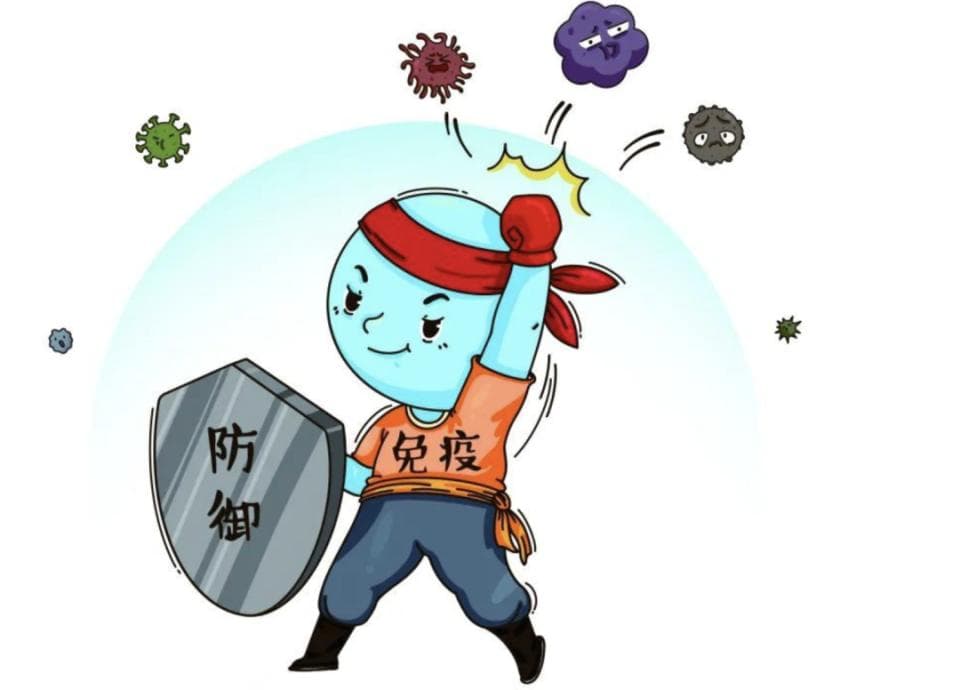 如何提高免疫力？这一步至关重要