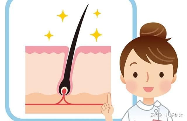 夏季如何保持头发头皮的清爽？
