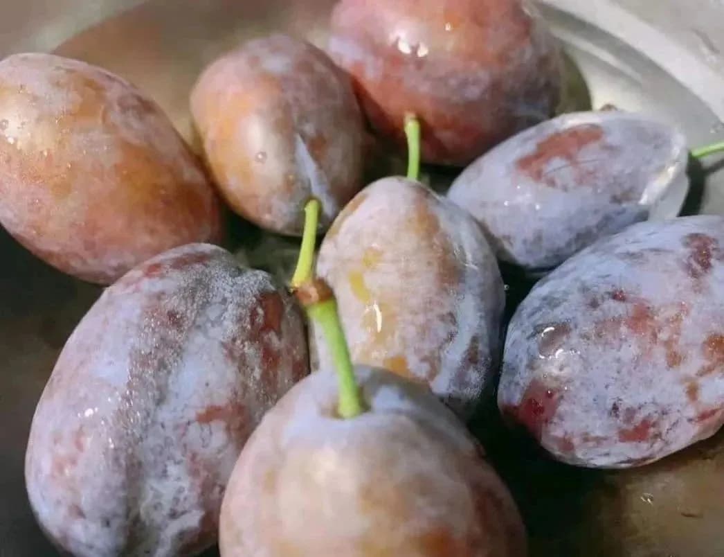 入冬后每天食一个，对肠胃有帮助，还能保护血管，爱吃就赚了