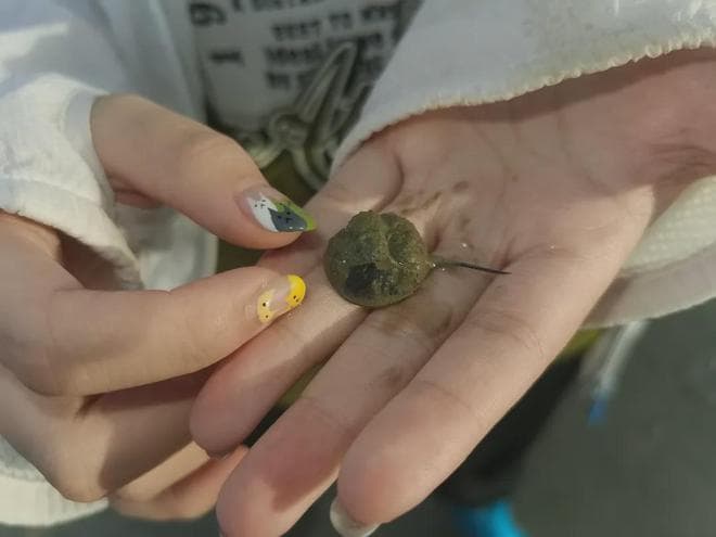 “海洋活化石”栖息地，遂溪两项指标全国第一！