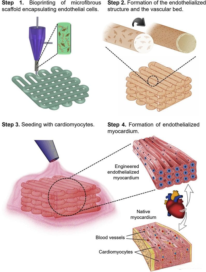 3D生物打印的芯片：医学革命的新突破