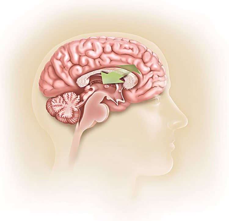 保持大脑健康，降低痴呆风险的10种方法
