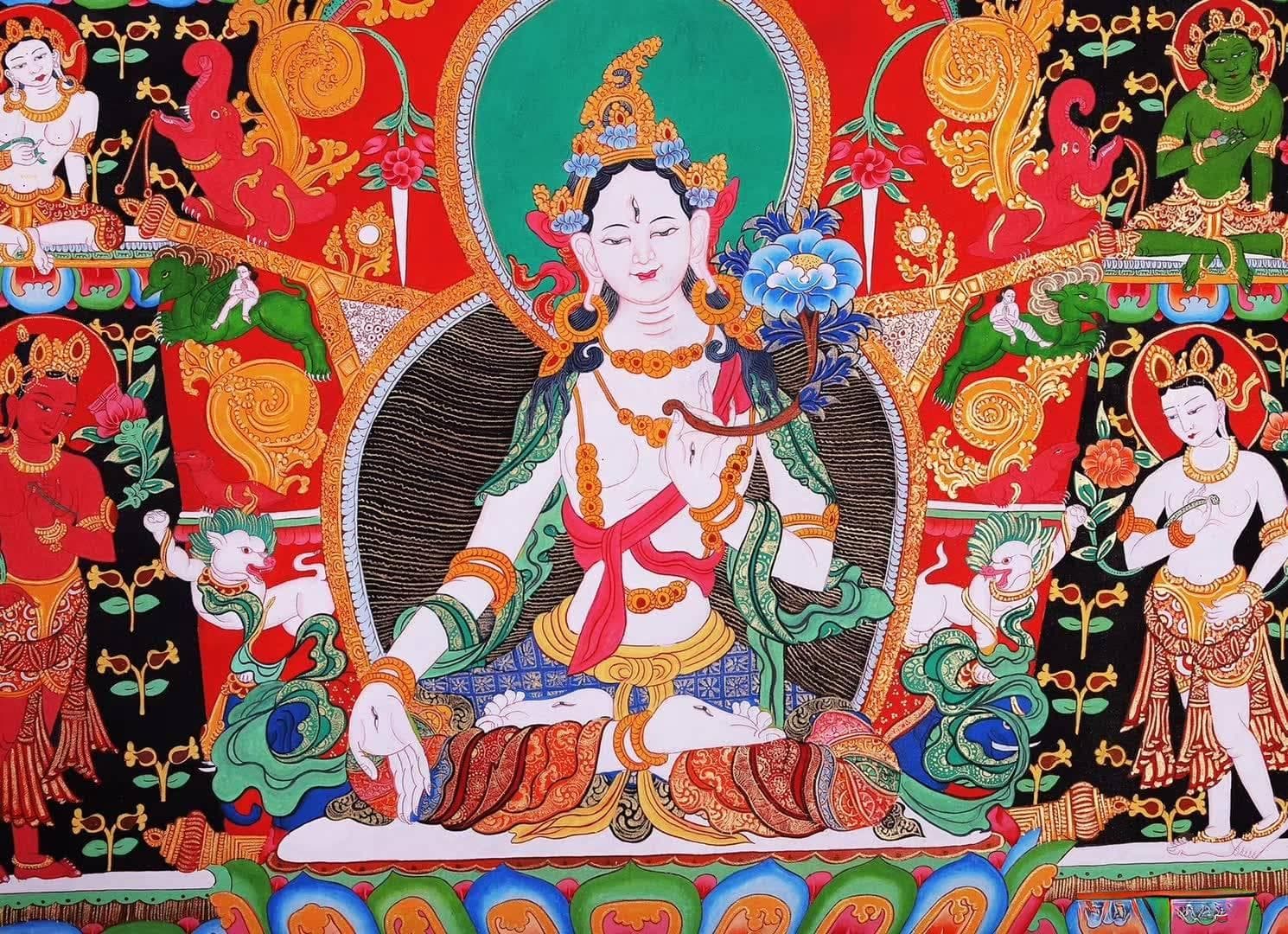庵摩罗果在佛教中的含义