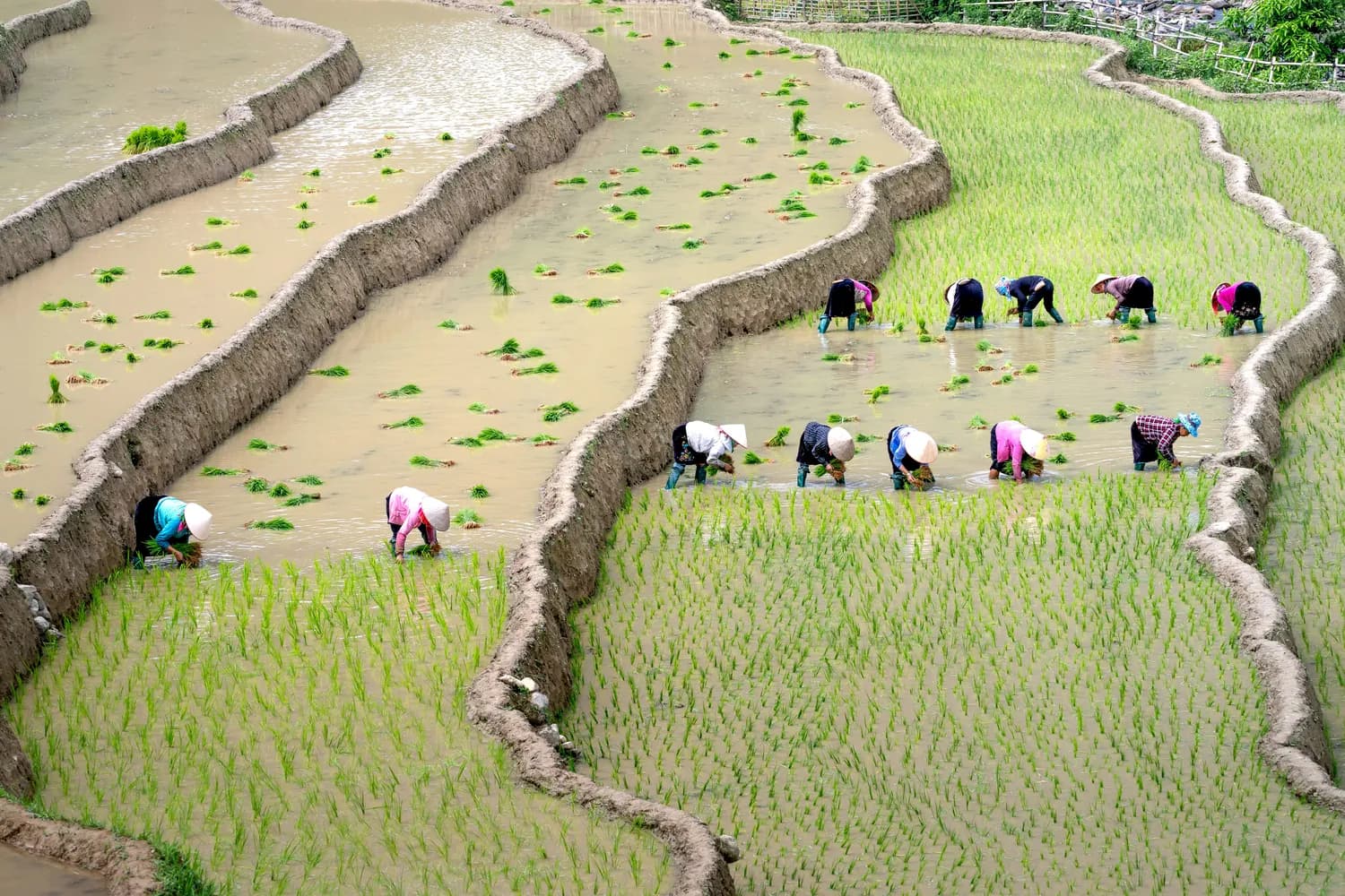 农民数量减少，中国如何端牢“饭碗”？
