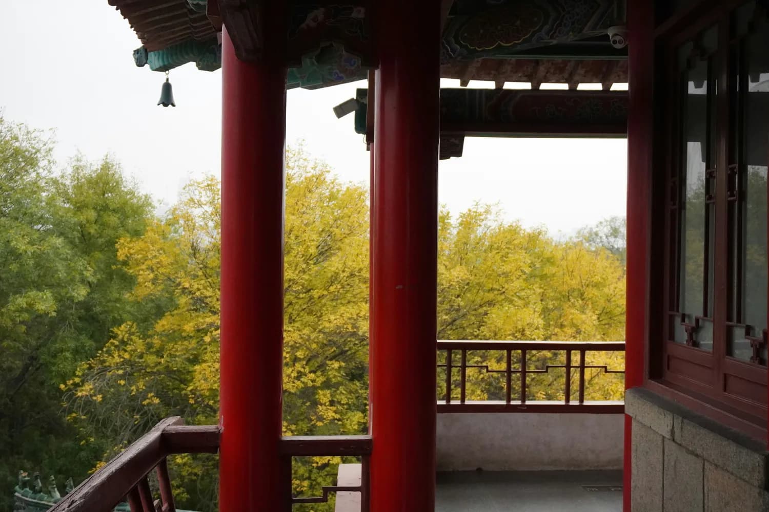 探访东湖：屈原李白朱德的足迹与文化传承