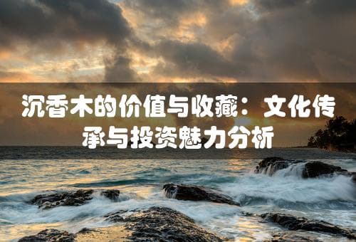 沉香木：从自然奇观到文化瑰宝的艺术收藏之旅