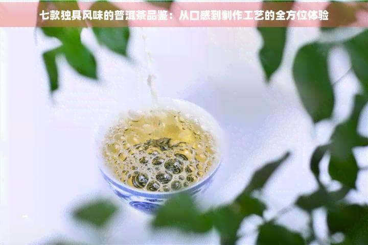 七款独具风味的普洱茶品鉴：从口感到制作工艺的全方位体验