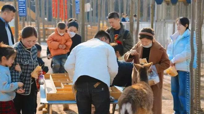 西安这些地方正适合带着孩子一起去玩！大人小孩都能玩得很开心~
