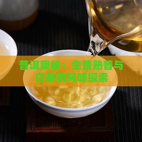 生普熟普白茶：三种茶的风味特点与饮用指南