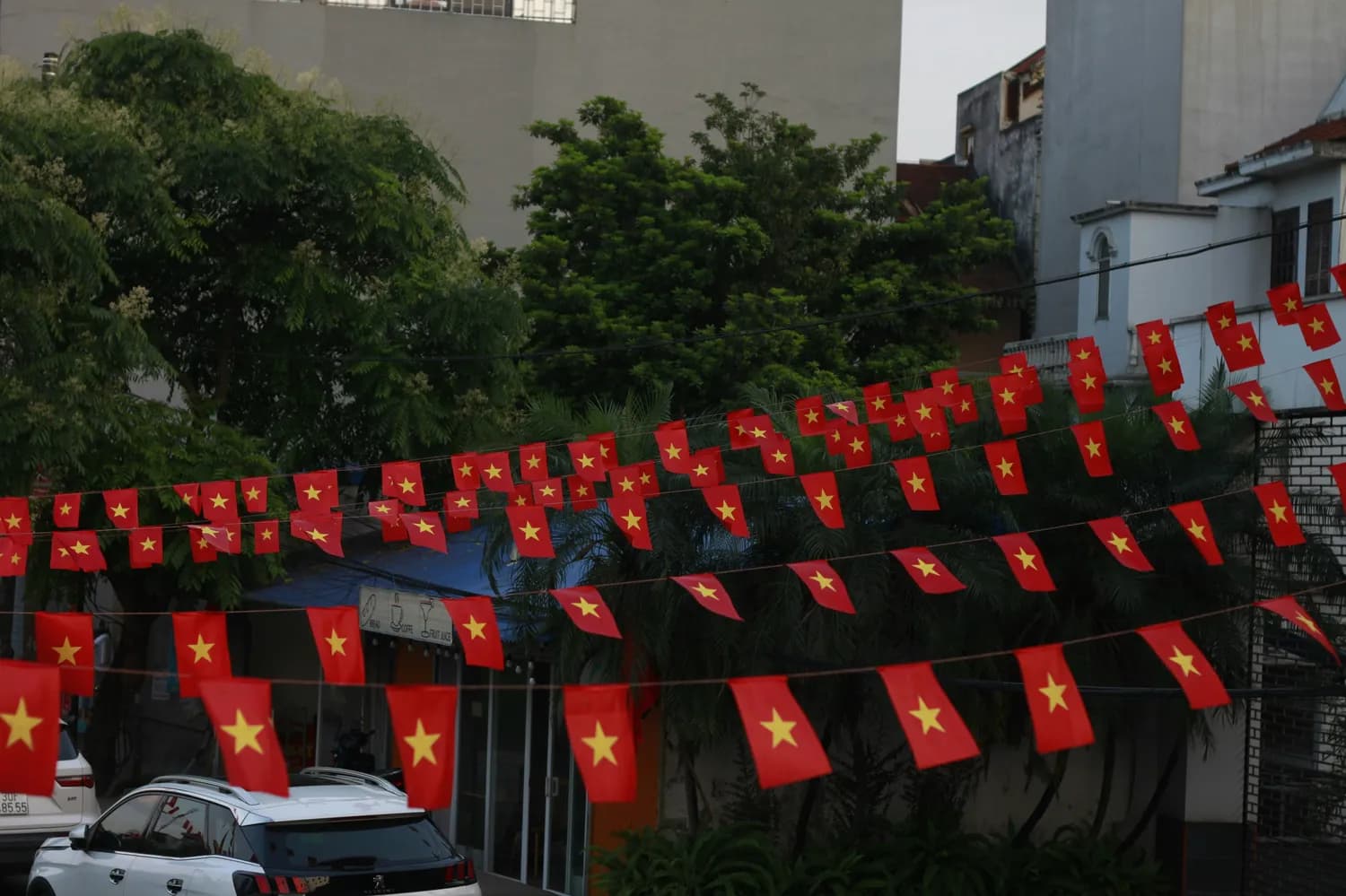 越南社交场合必备：这些问候语让你瞬间变地道！