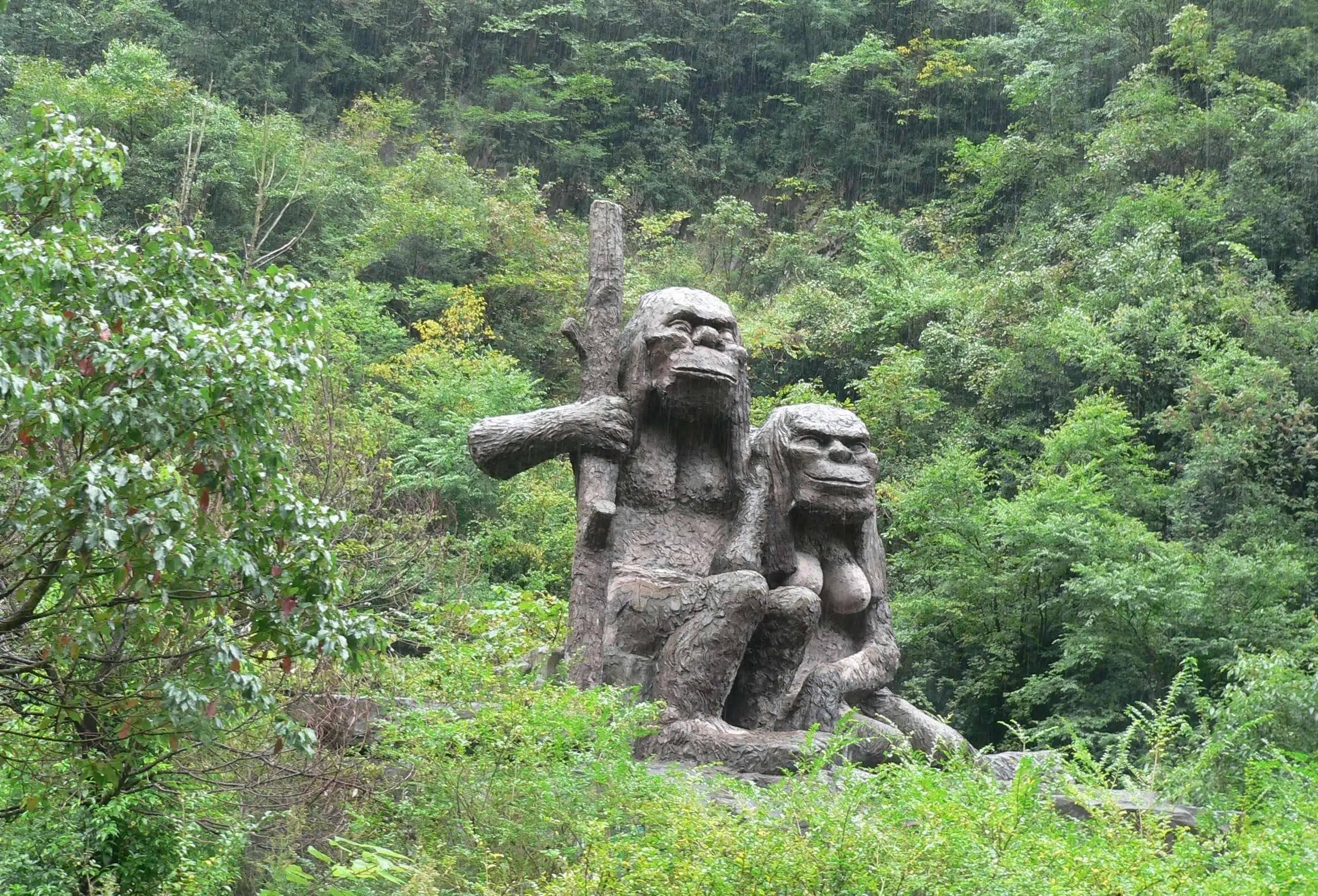 神农架野人传说真相揭秘：数百目击背后，科学考察结果如何？