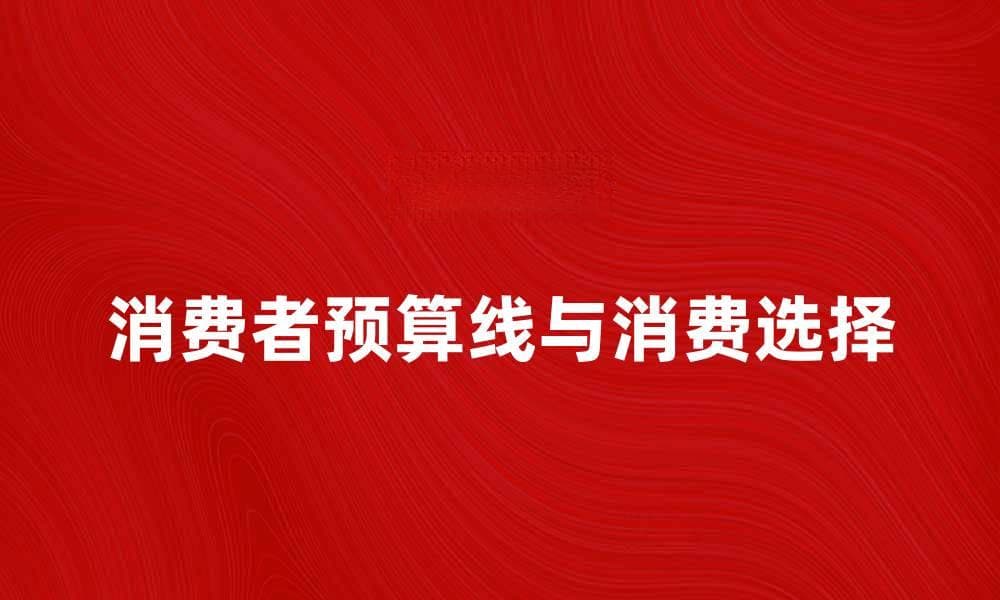消费者预算线与消费选择的关系解析