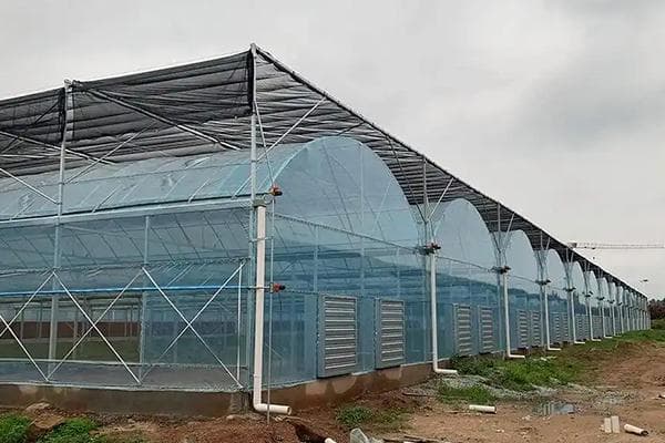 三种连栋温室对比：选对类型，让农业更高效