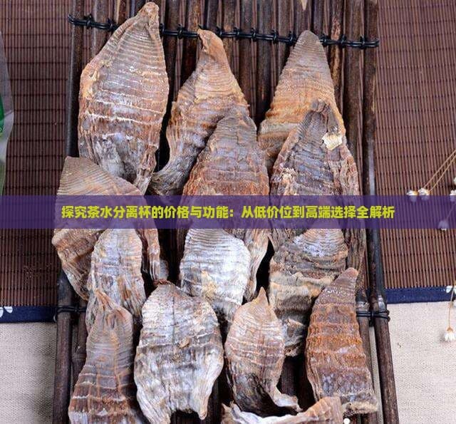 茶水分离杯选购指南：从入门到高端，不同价位产品全解析