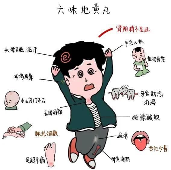 你不知道的六味地黄丸：从宋代传承至今的经典方剂