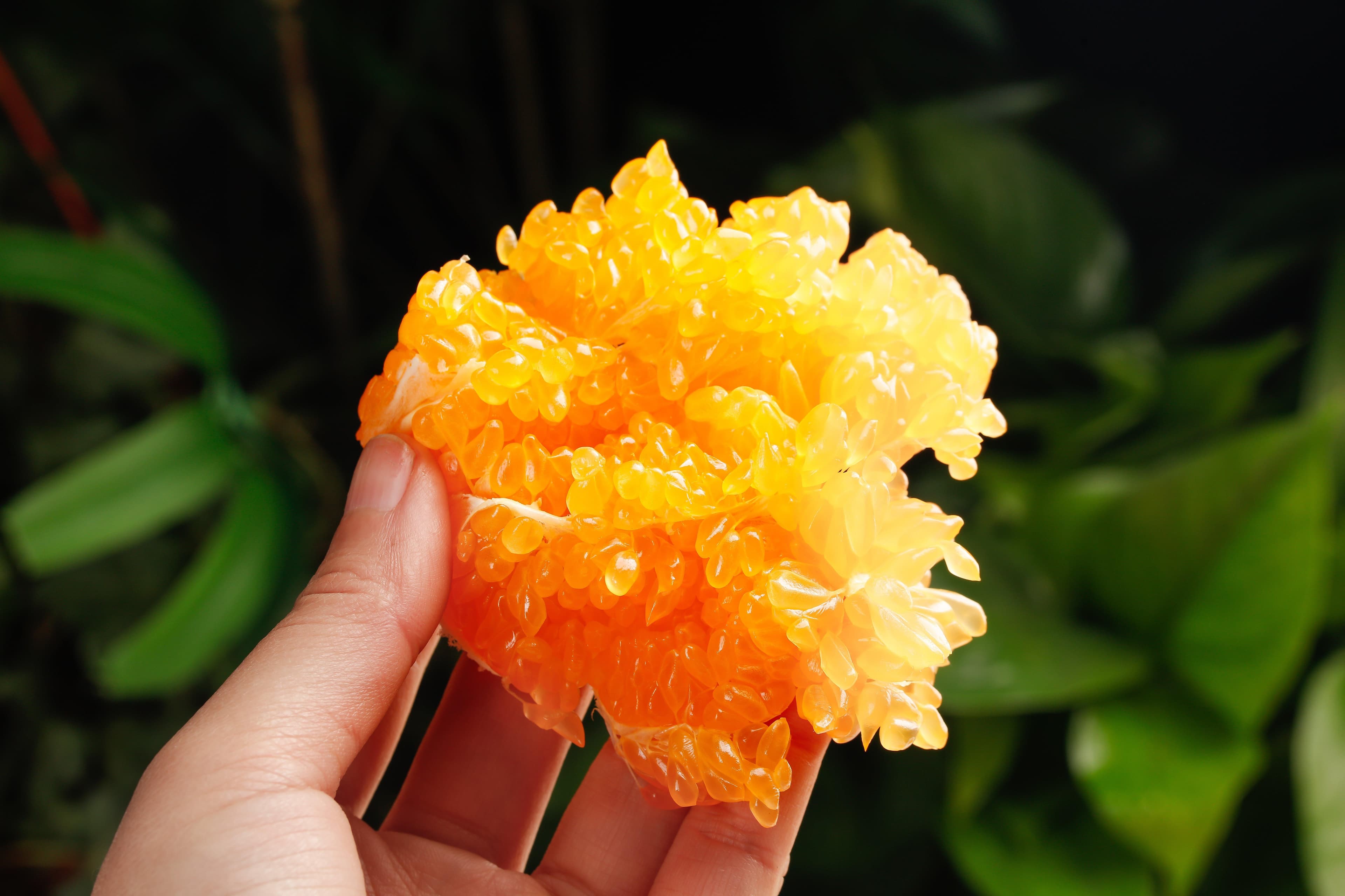 耙耙柑的生长环境与种植管理要点