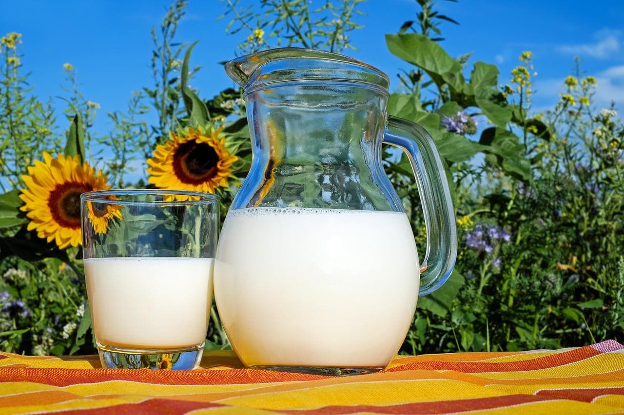牛奶与淡奶：探索乳品世界的微妙差异