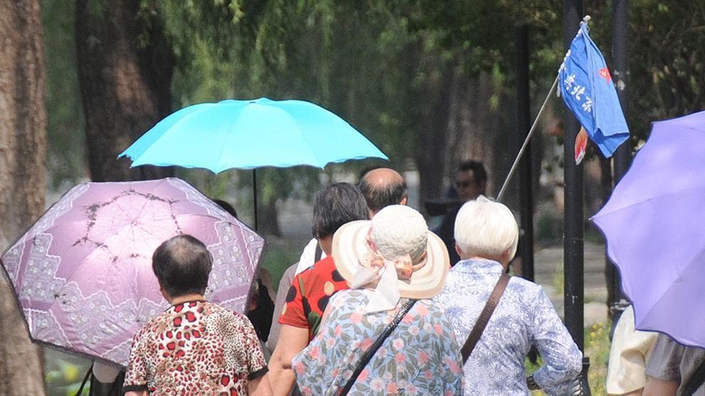 年轻人混入老年团，真的更有性价比？