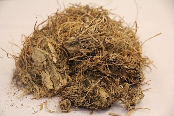 哪些中药具有减肥的功效