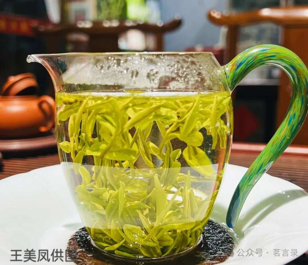 绿茶的分类、冲泡方法、品鉴和常见问题解答(茶文化知识教材)
