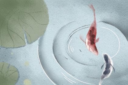 易经包括哪些部分：《经》和《传》两部分