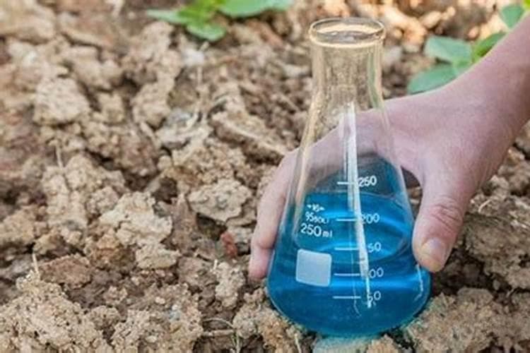 精准农业下的配方施肥方案落实之道