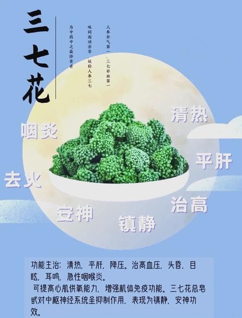 三七的图片作用与功效，深入了解中药之瑰宝