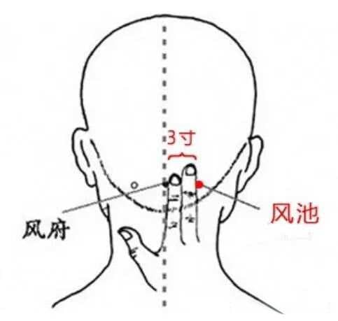 必知！人体最重要的18个穴位，按摩养生全攻略