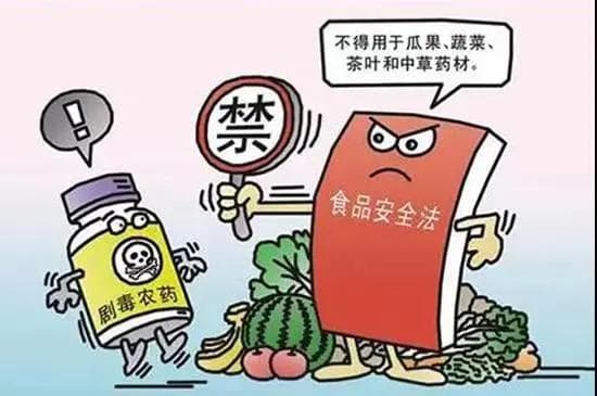 【典型案例】周某某生产、销售有毒、有害食品案