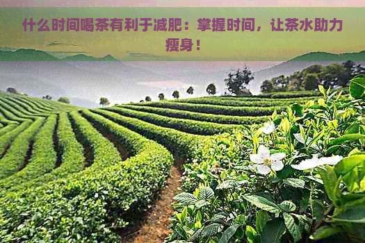 什么时间喝茶有利于减肥：掌握时间，让茶水助力瘦身！