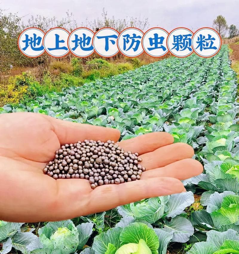 红薯病虫害防治技术与方法措施（有效预防和治疗红薯病虫害，保障产量和品质）