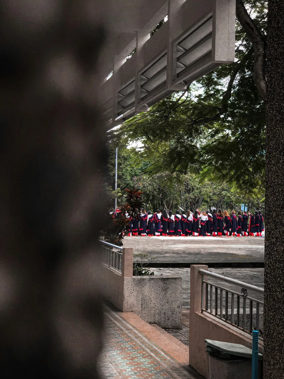 揭阳学宫：岭南最大孔庙的文化体验与游玩攻略