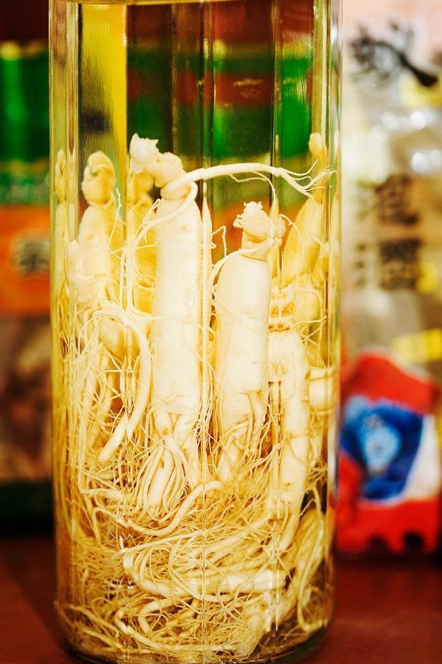 人参酒制作指南：选材、泡制到饮用的全流程详解